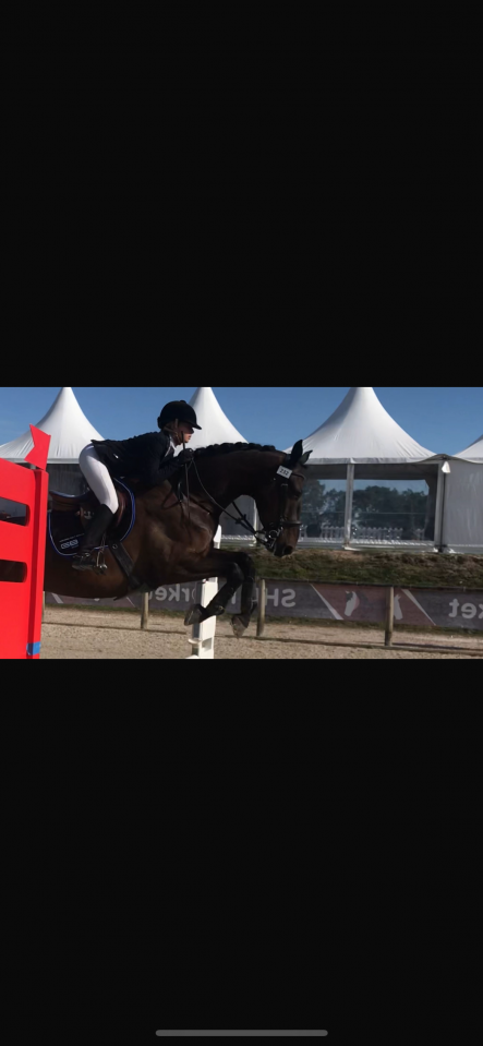 Cheval de cso exp&eacute;riment&eacute; 