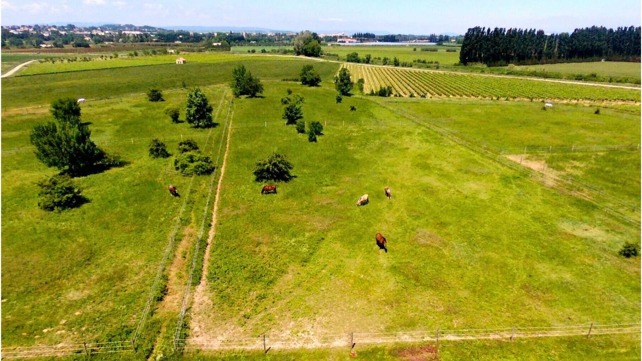 Propri&eacute;t&eacute; &eacute;questre d&rsquo;exception au coeur du Gard (30)