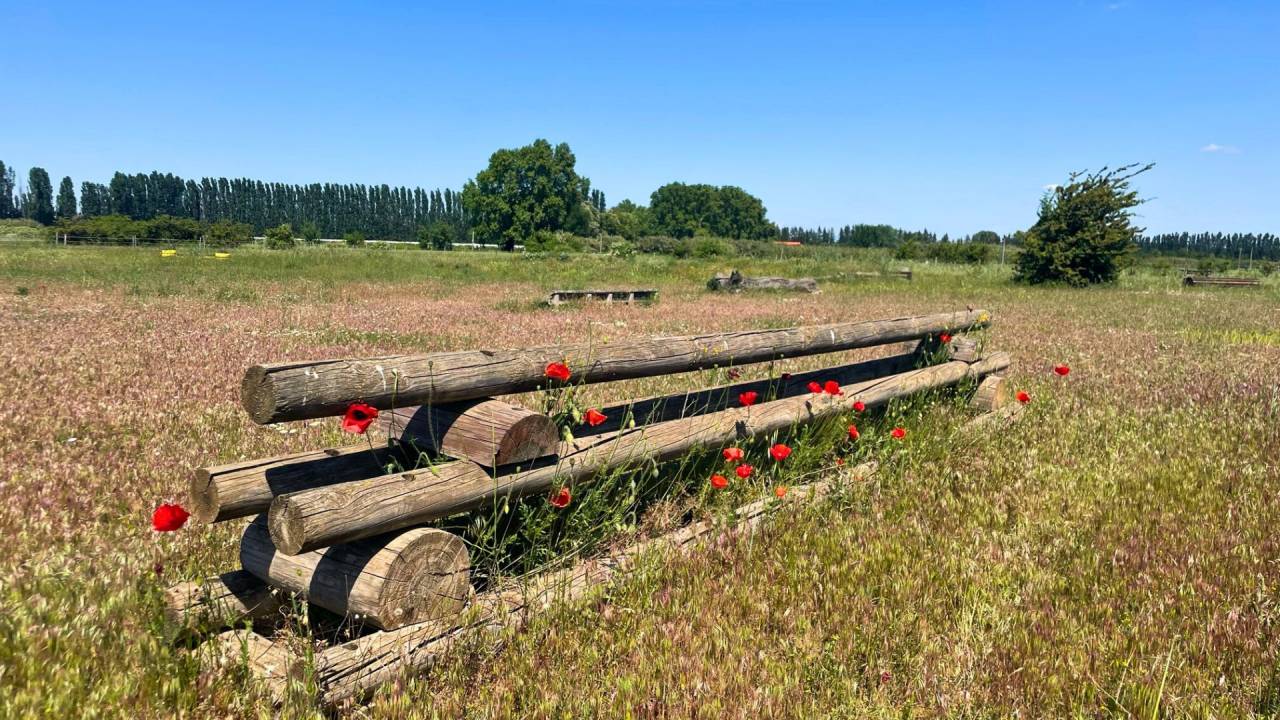 Propri&eacute;t&eacute; &eacute;questre d&rsquo;exception au coeur du Gard (30)
