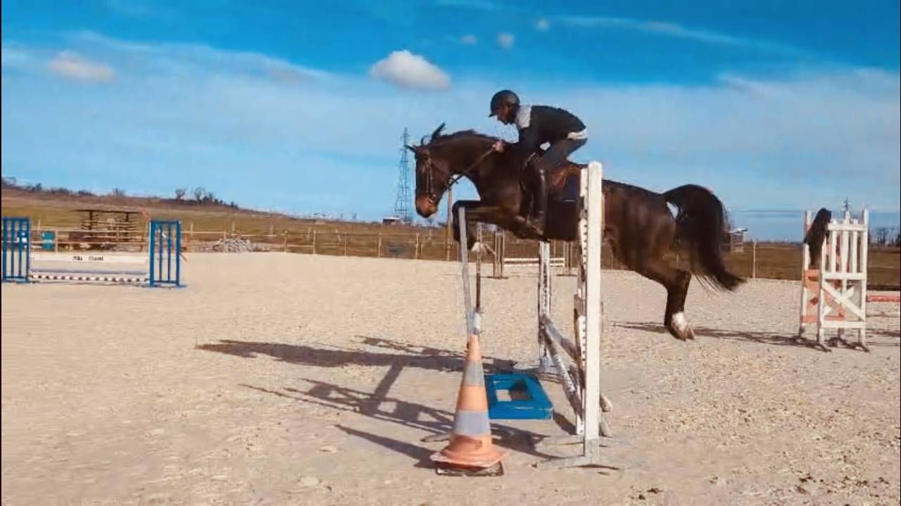 Super jument amateur 