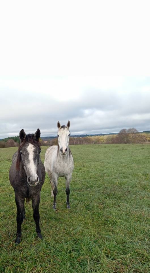 Op&eacute;ra des Escures 