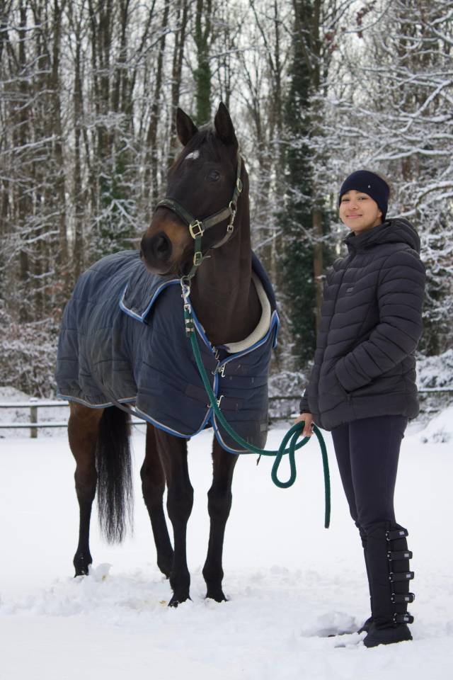 Cheval de 5 ans &agrave; vendre 