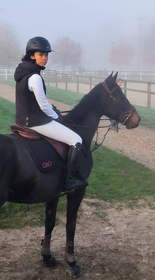 Cheval de 5 ans &agrave; vendre 