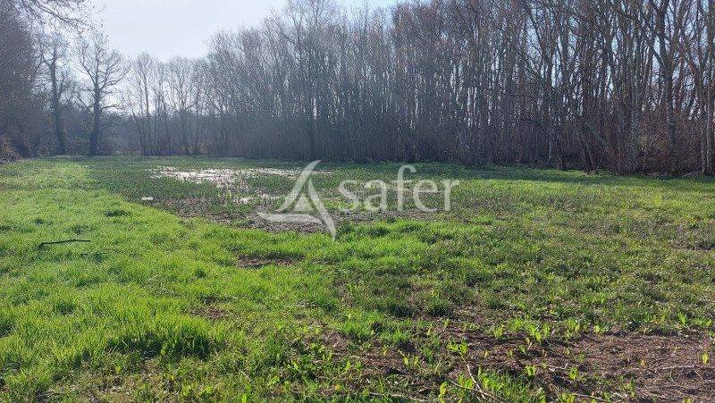 LIBOURNAIS: Hangar agricole + 8 hectares