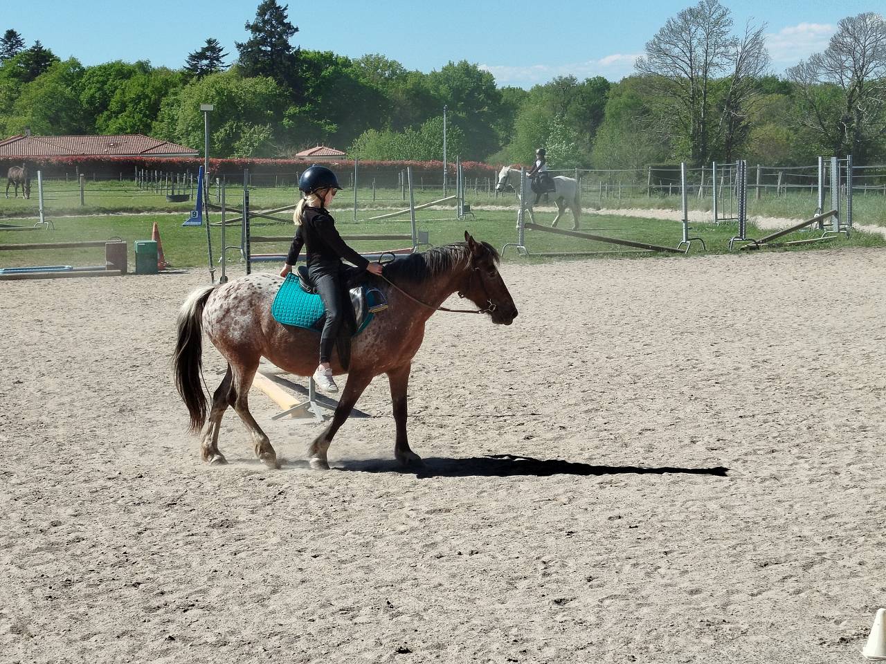 PONETTE APPALOOSA ONCP