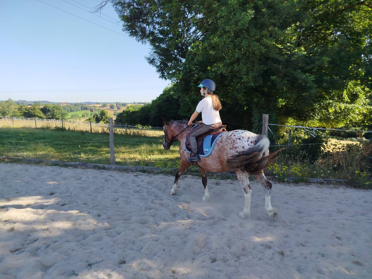 PONETTE APPALOOSA ONCP