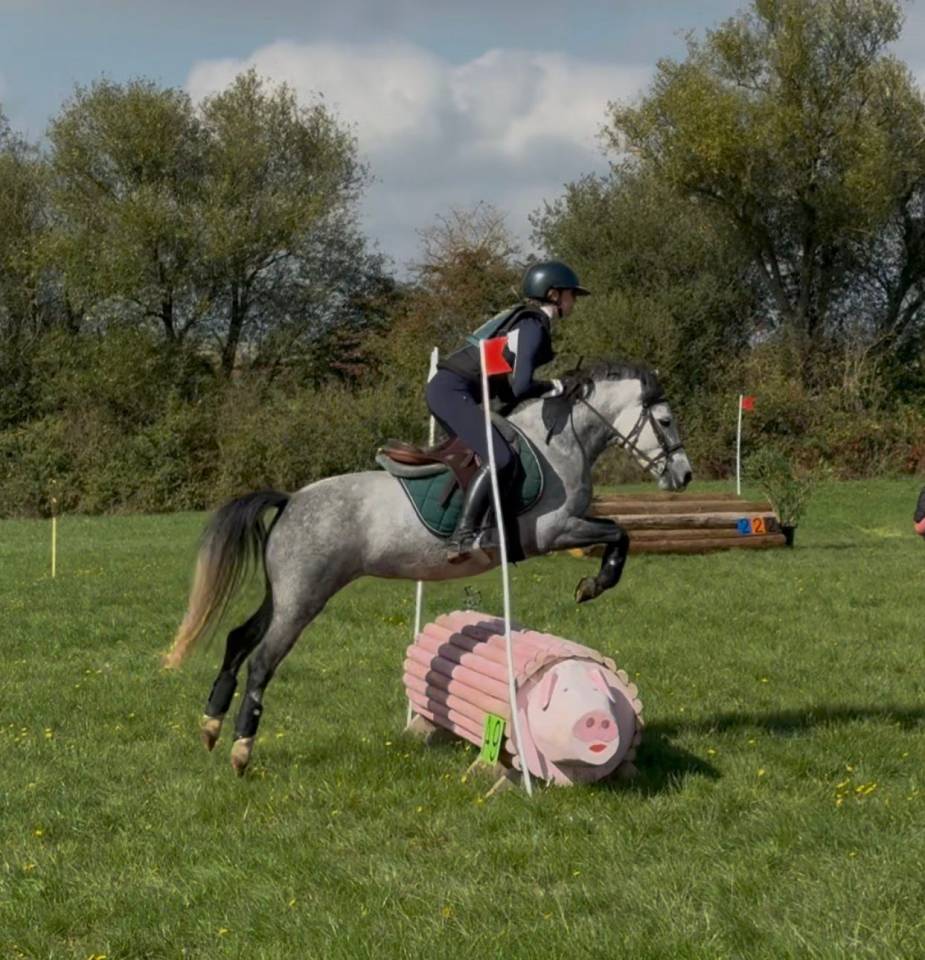 Poulini&egrave;re Welh A 1m11