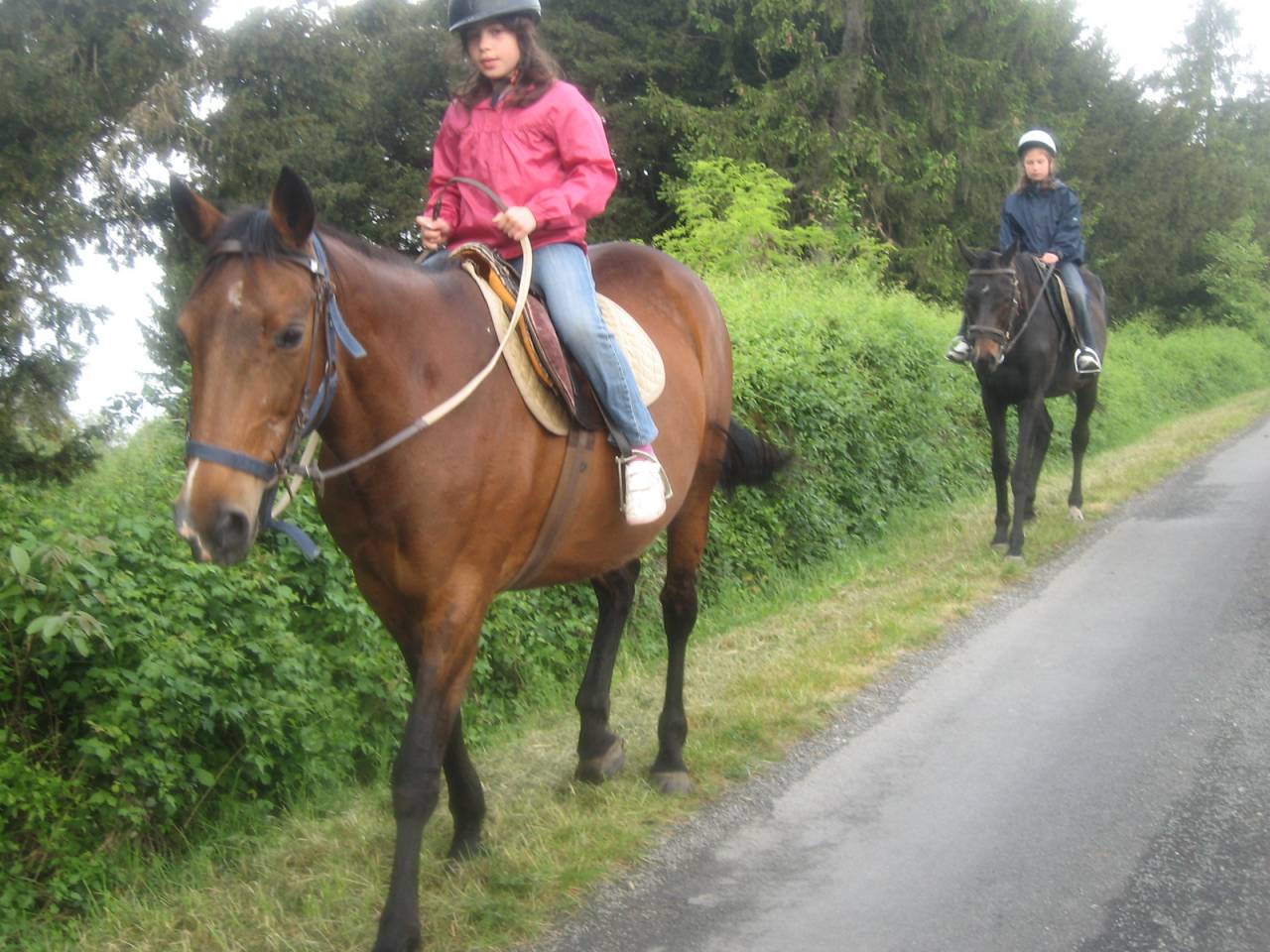 recherche terre agricole pour saison 2026