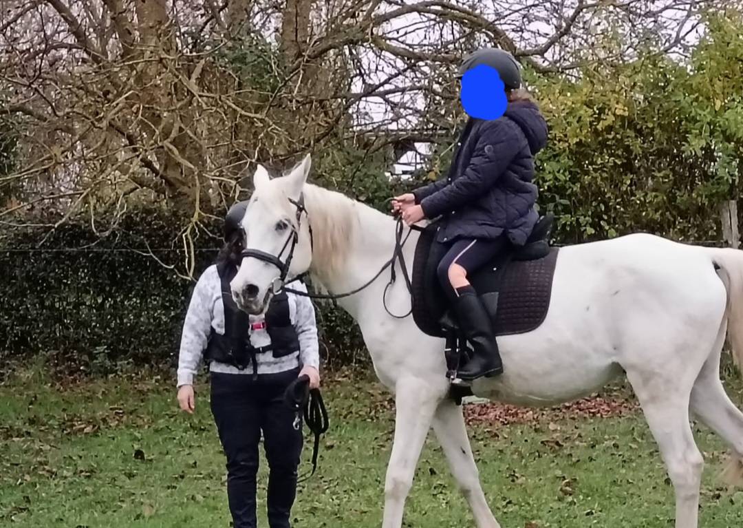 Hongre Pur-Sang Arabe gris &ndash; 18 ans &ndash; 1m49 - ext&eacute;rieur