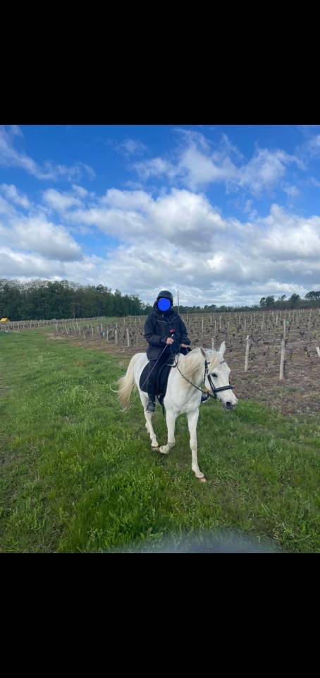 Hongre Pur-Sang Arabe gris &ndash; 18 ans &ndash; 1m49 - ext&eacute;rieur