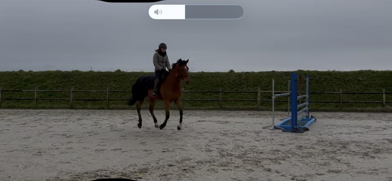 7 ans Safari d&rsquo;auge / Apache d&rsquo;Adriers 