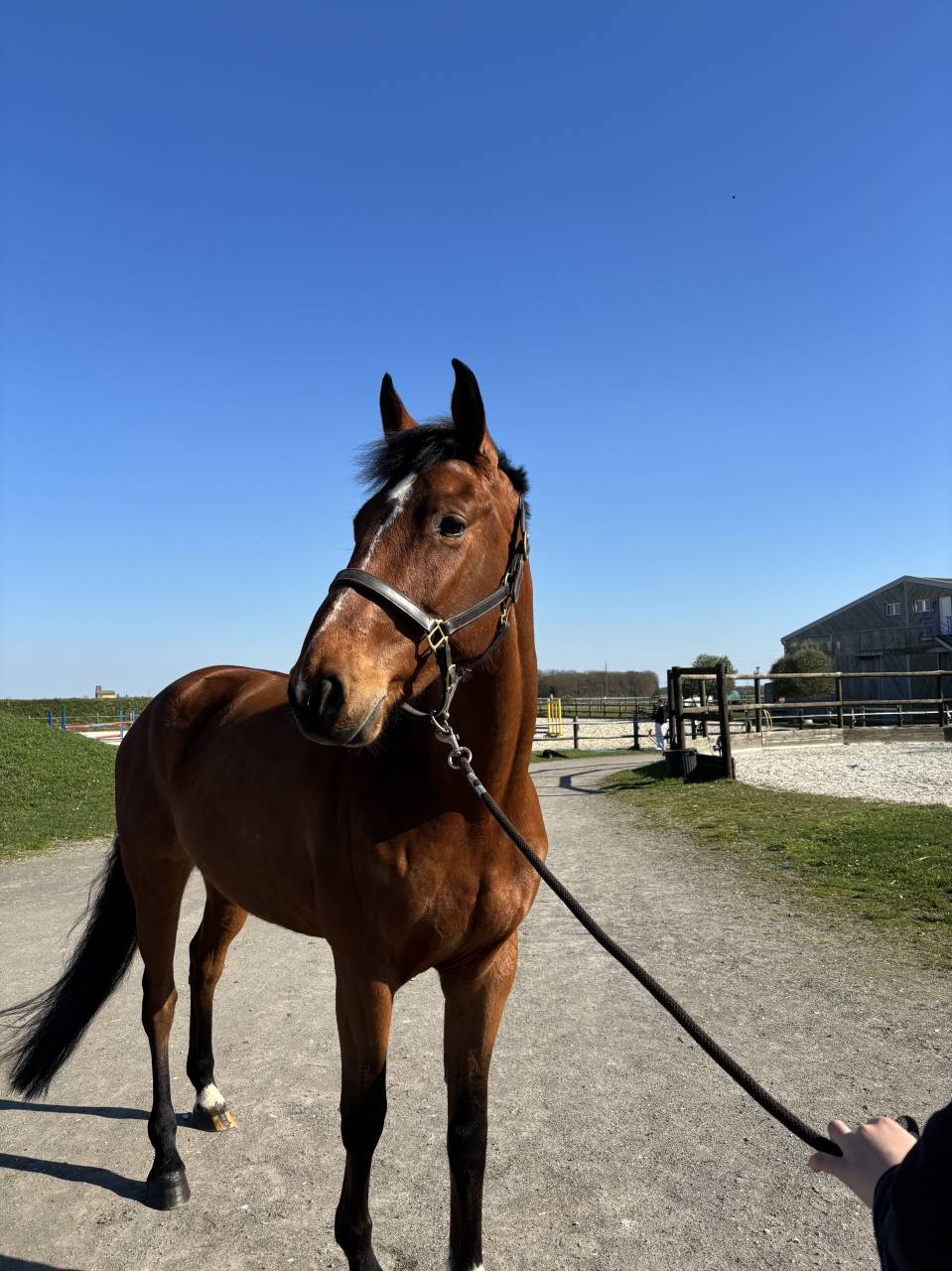 7 ans Safari d&rsquo;auge / Apache d&rsquo;Adriers 