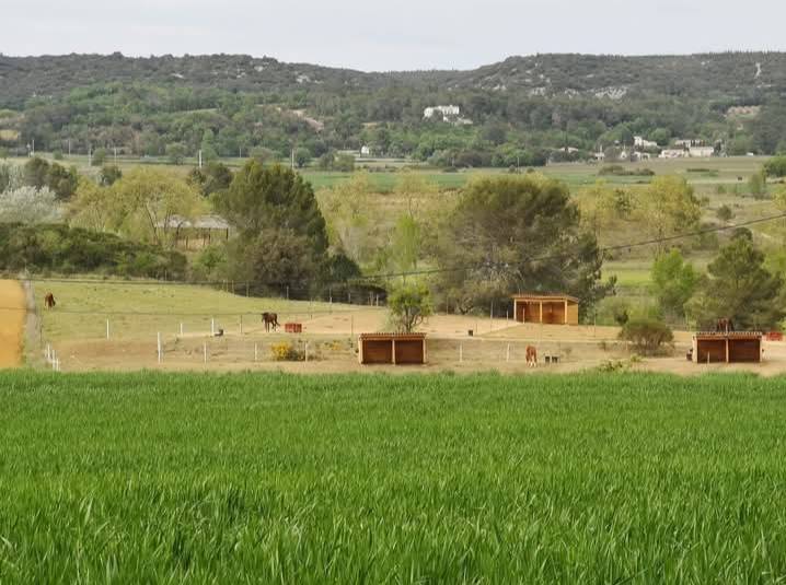 Location de paddocks 