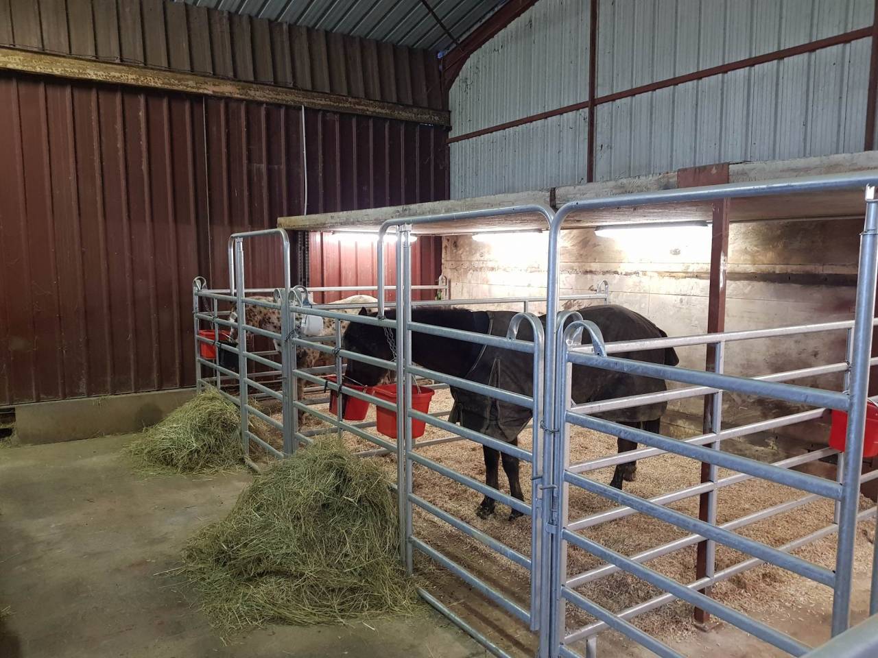 AEDL Association &Eacute;questre du Domaine du Loup