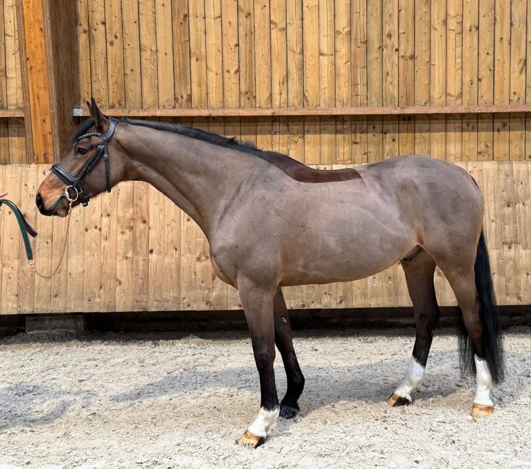 Pop corn de Prepinson 