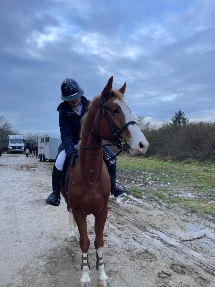 Poney 4 ans D ( d&eacute;bourr&eacute; et pr&ecirc;t sur un parcours)