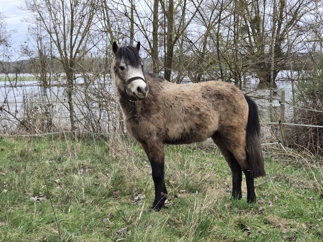 Entier PFS 3 ans taille B