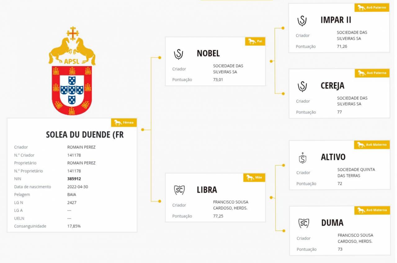 Jument PSL 4 ANS ISABELLE 
