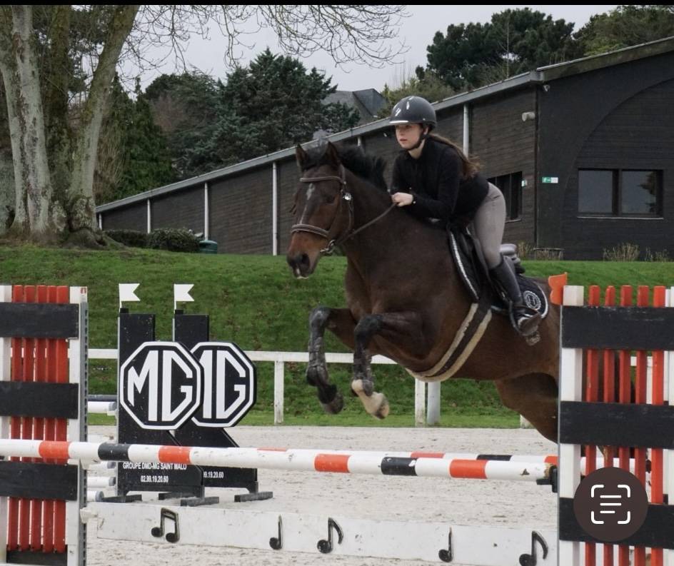 Cheval &agrave; Vendre 