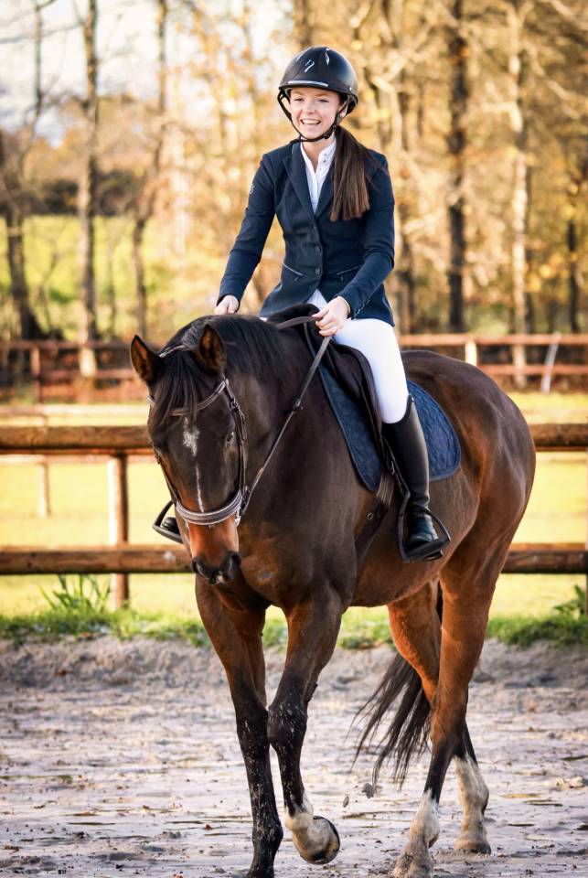 Cheval &agrave; Vendre 