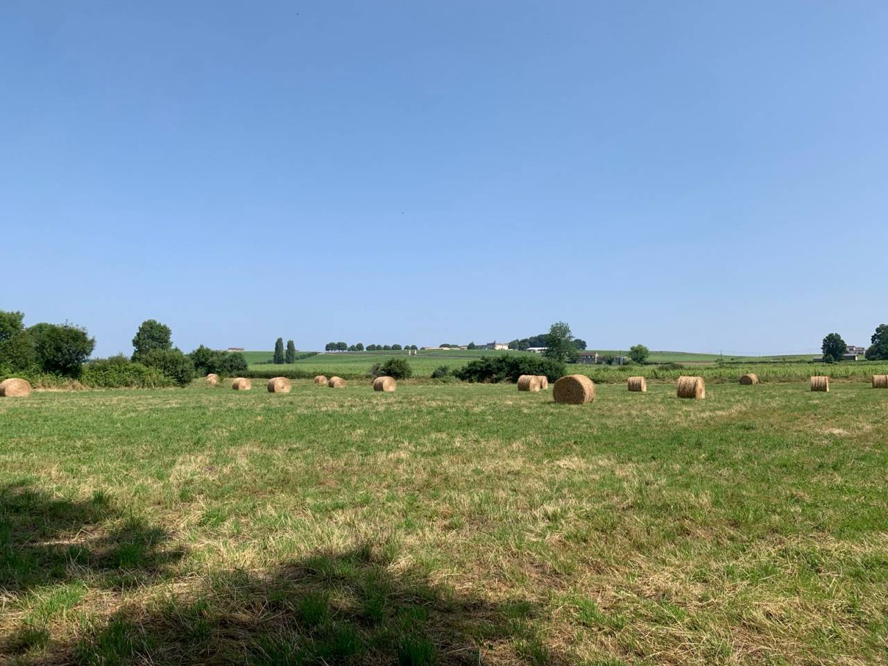 Belle propri&eacute;t&eacute; agricole &agrave; Montagne (Saint-Emilion)