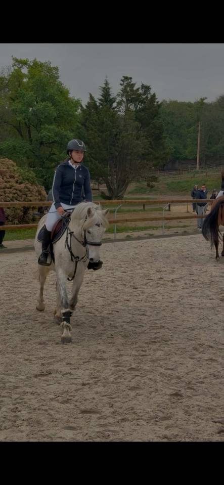 Ponette de 9 ans &agrave; vendre 