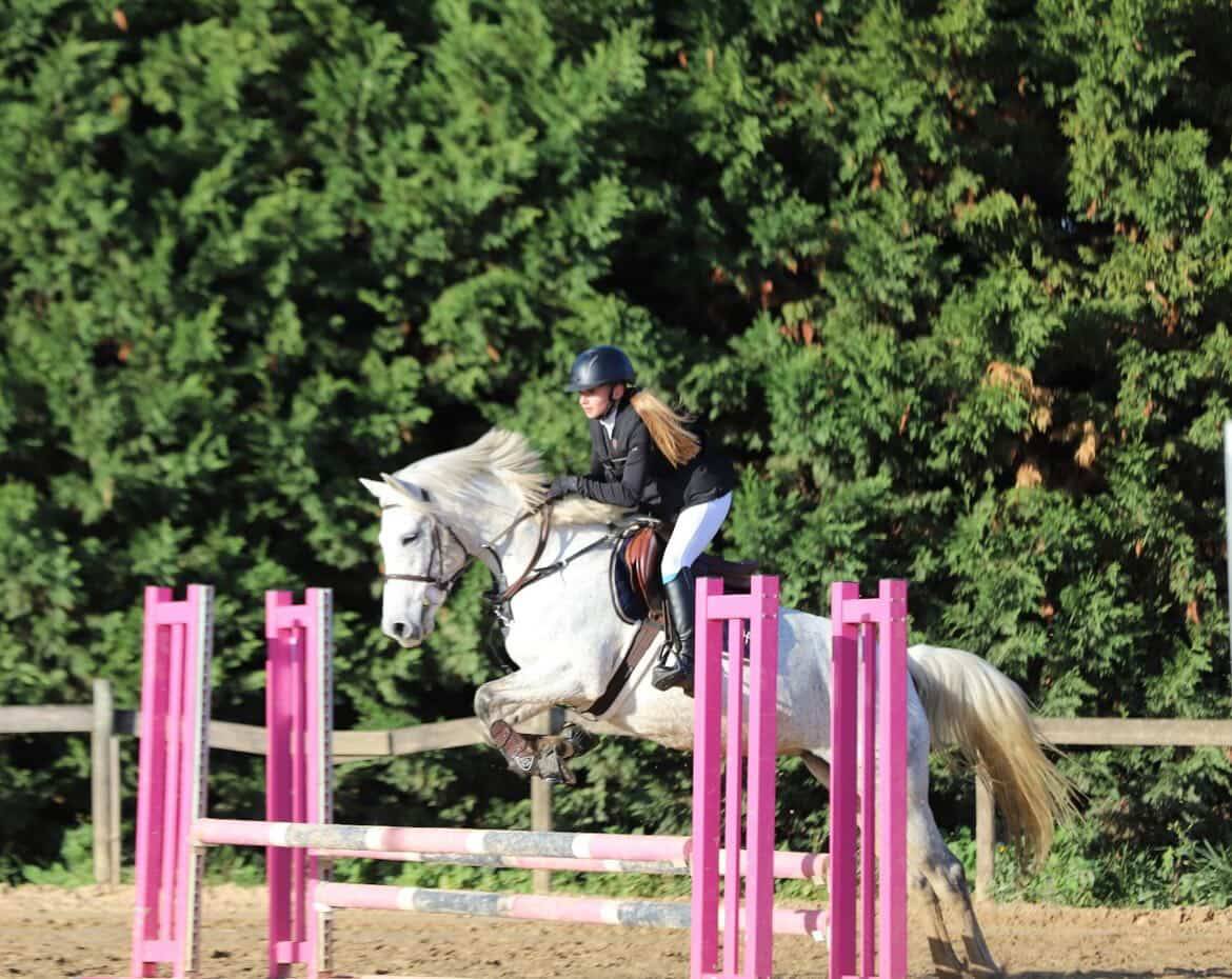 Ponette de 9 ans &agrave; vendre 