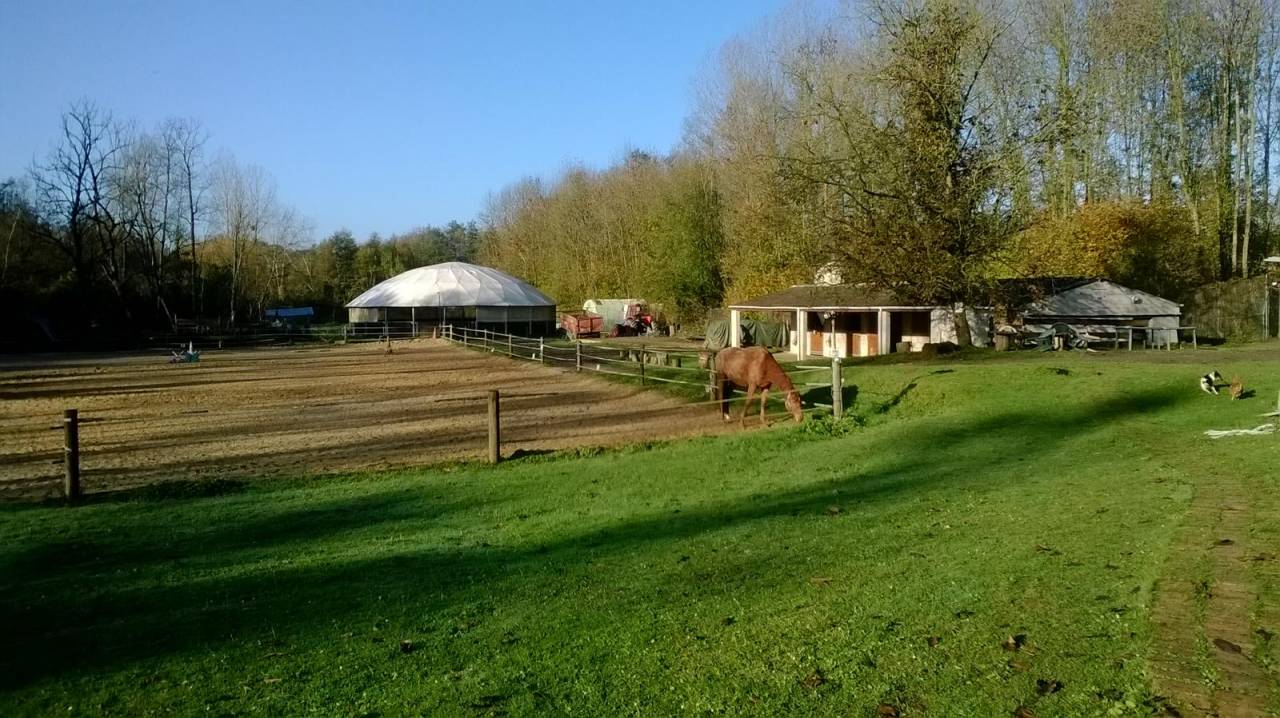 Habitation + installation &eacute;questre 