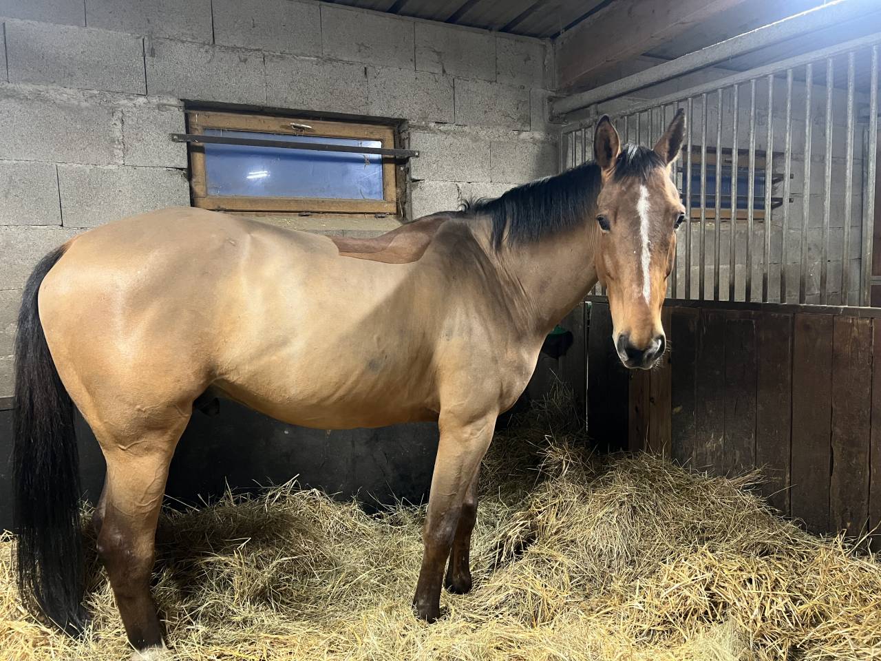 &Agrave; vendre Galileo 