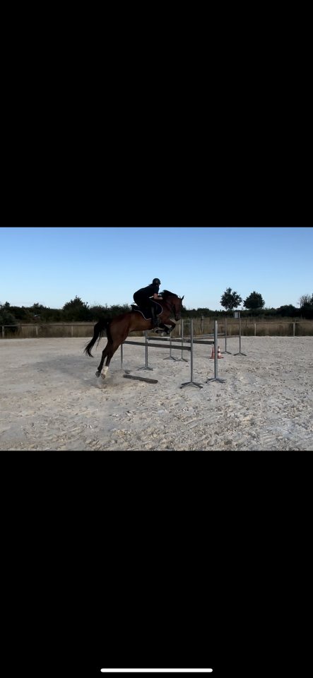 &Agrave; vendre Galileo 