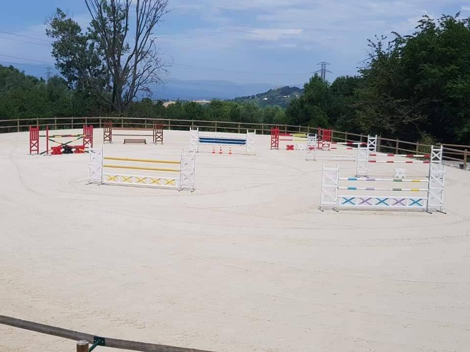 DOMAINE AM - pension chevaux dans le 26 (Dr&ocirc;me) 