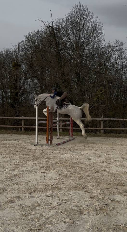 DOMAINE AM - pension chevaux dans le 26 (Dr&ocirc;me) 