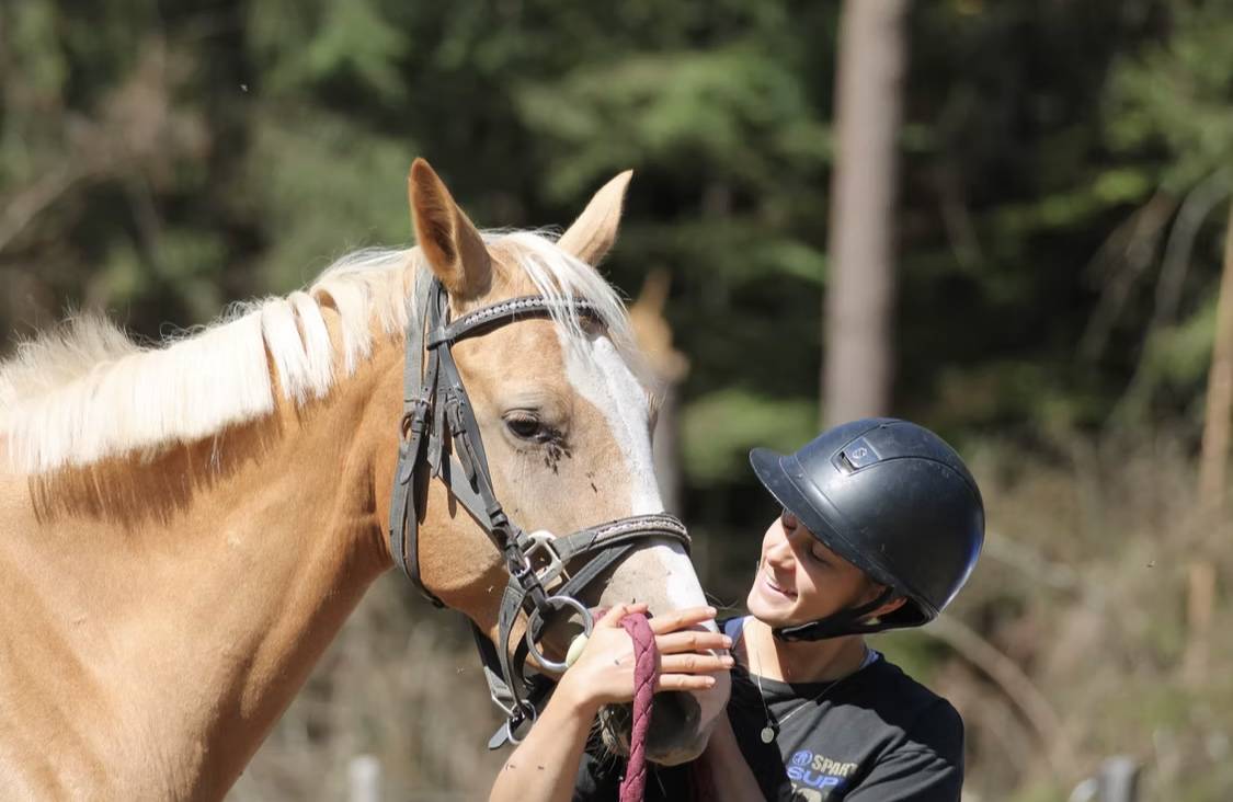 DOMAINE AM - pension chevaux dans le 26 (Dr&ocirc;me) 