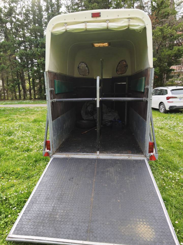 VAN DEUX CHEVEAUX MARQUE CHEVAL LIBERTE DE 2003