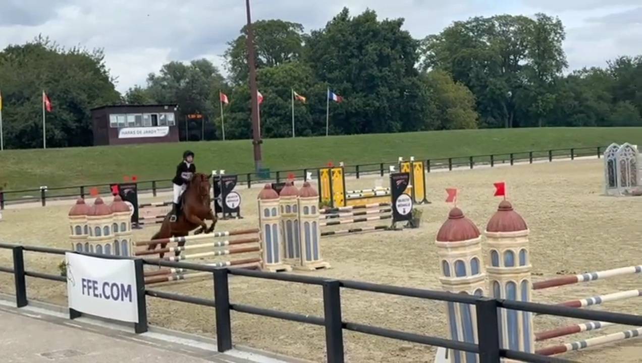 A vendre poulini&egrave;re SF 9 ans par Open Up S&eacute;milly