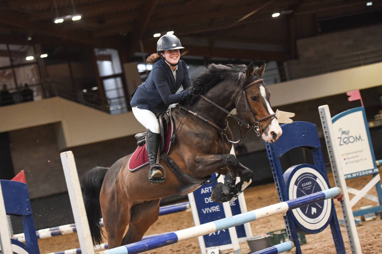 Hongre - cheval de sport &agrave; vendre 