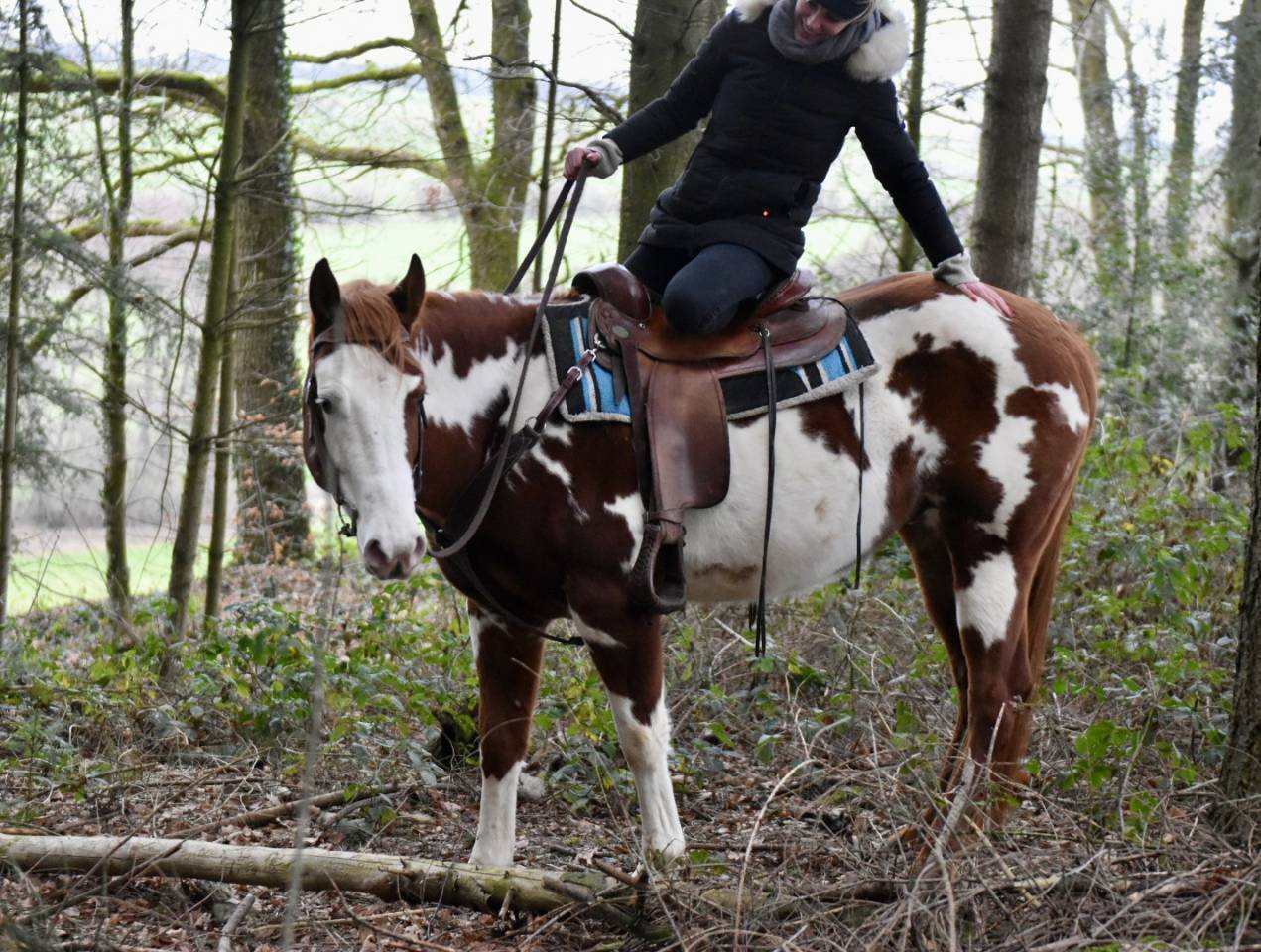 MAGNIFIQUE &Eacute;TALON PAINT HORSE 