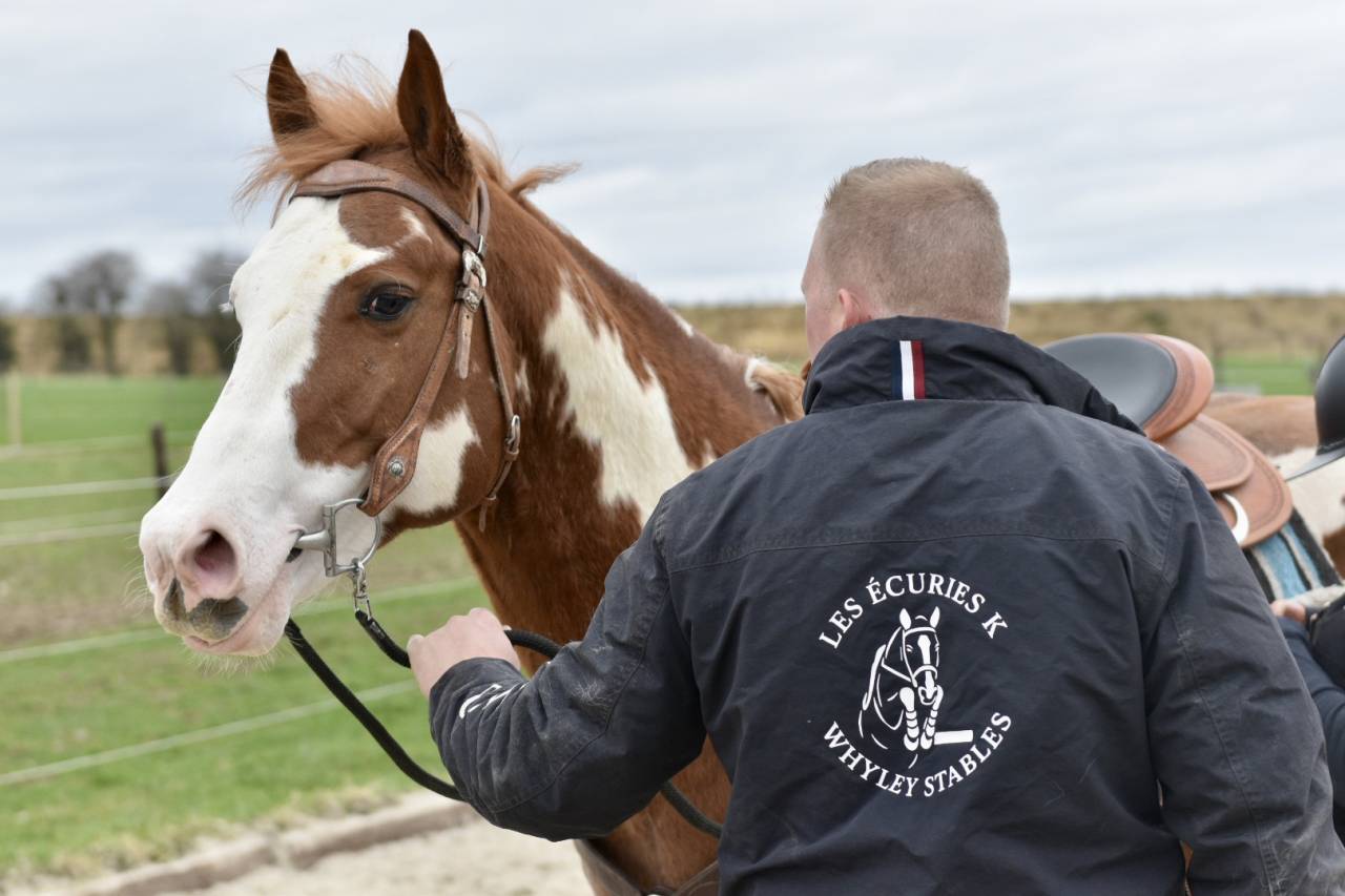 MAGNIFIQUE &Eacute;TALON PAINT HORSE 