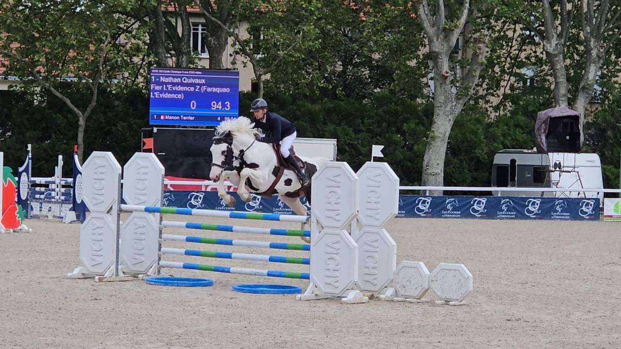 &Eacute;talon sport Homozygote Champion de France Hunter 