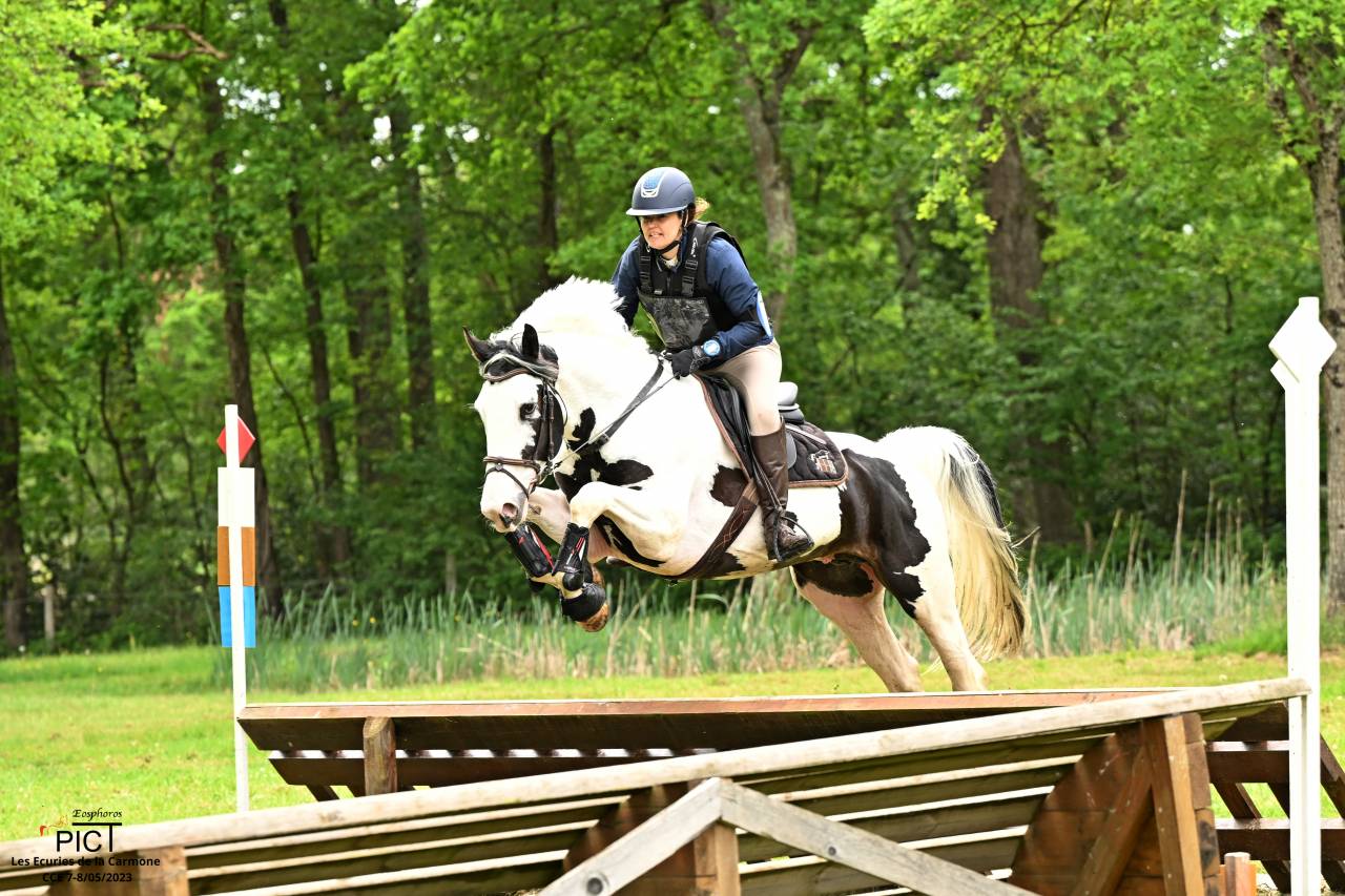 &Eacute;talon sport Homozygote Champion de France Hunter 