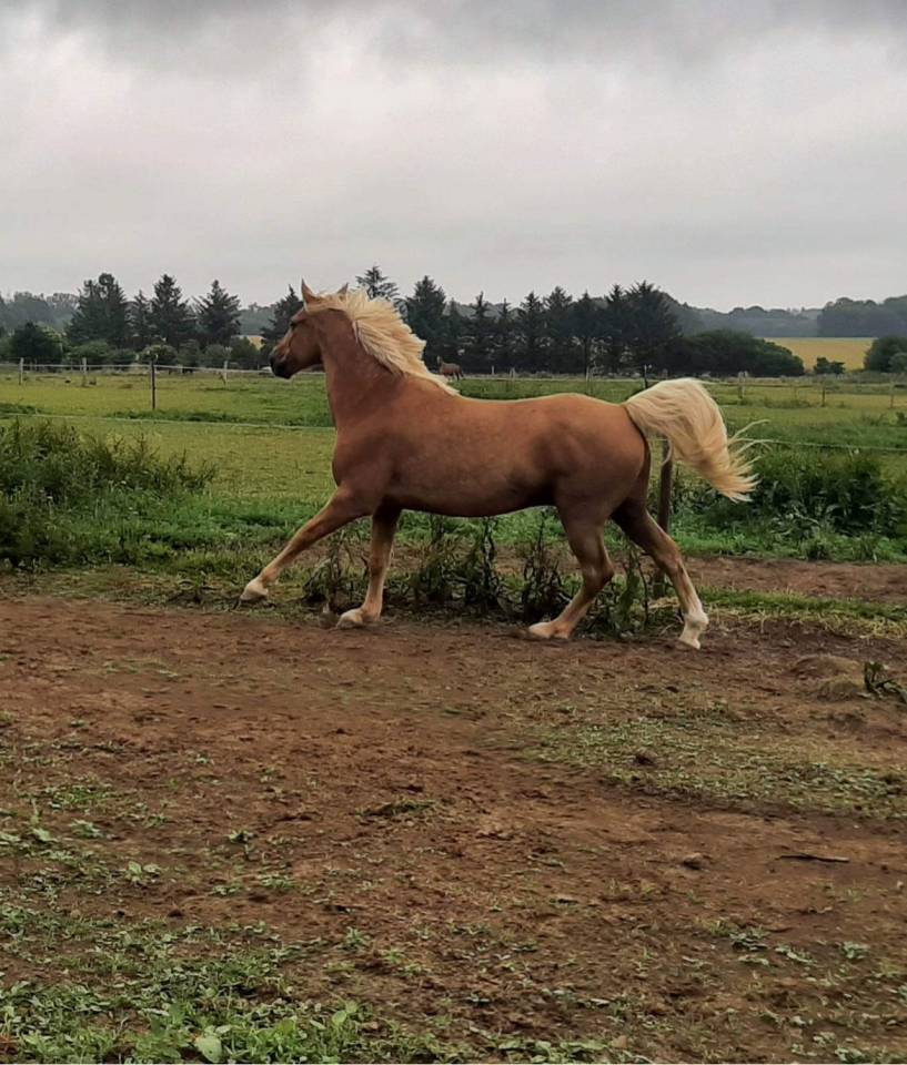 DP ballade travail &agrave; pied carri&egrave;re 