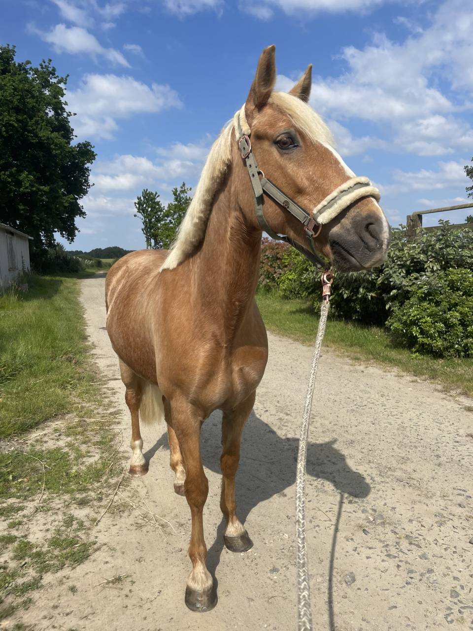 DP ballade travail &agrave; pied carri&egrave;re 