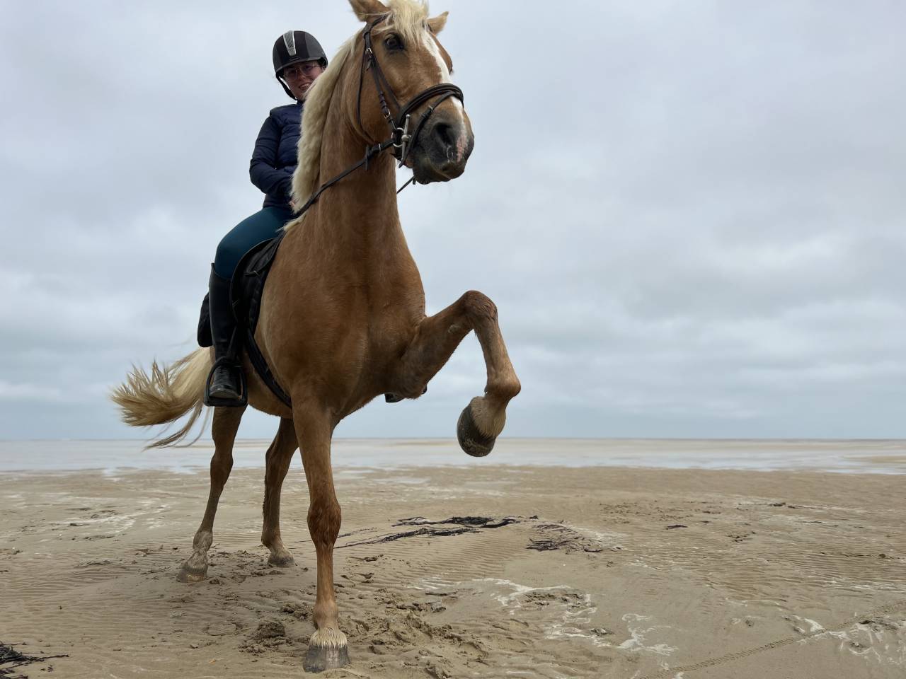 DP ballade travail &agrave; pied carri&egrave;re 