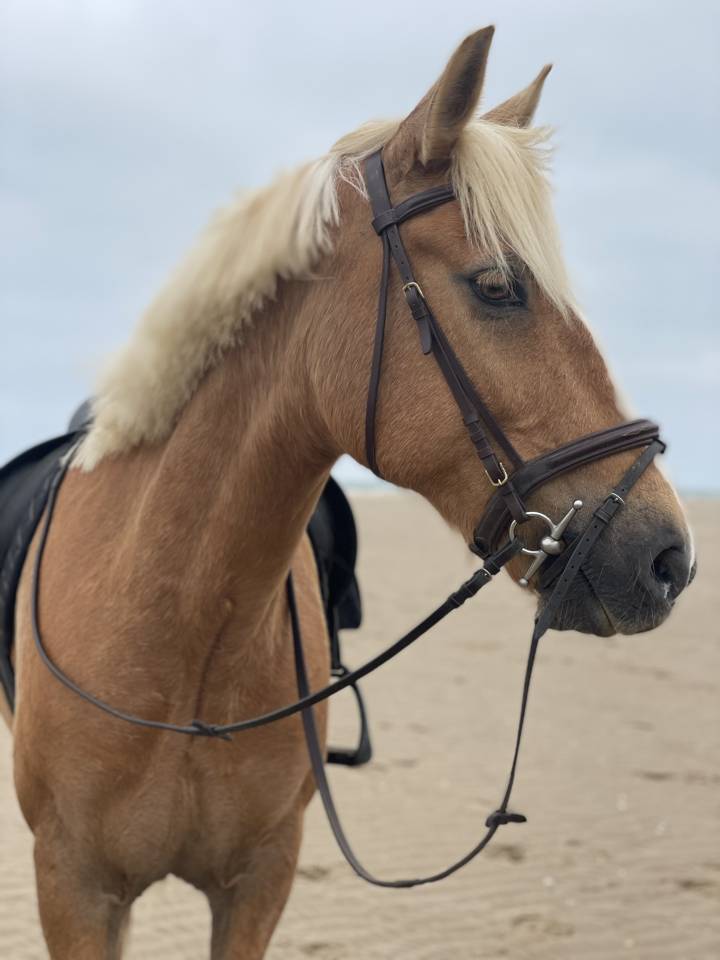 DP ballade travail &agrave; pied carri&egrave;re 