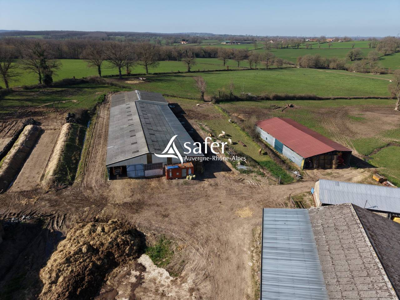 Exploitation avicole / bovin - Secteurs Moulin Montlu&ccedil;on