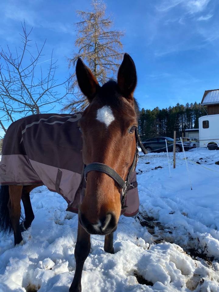 &Agrave; saisir avant la saison de Concours