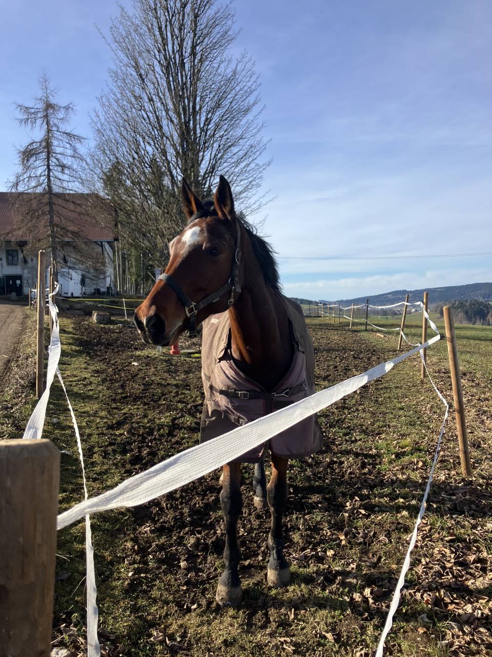 &Agrave; saisir avant la saison de Concours