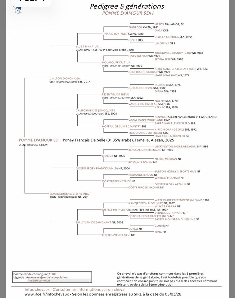 Pouliche d&rsquo;avenir PFS