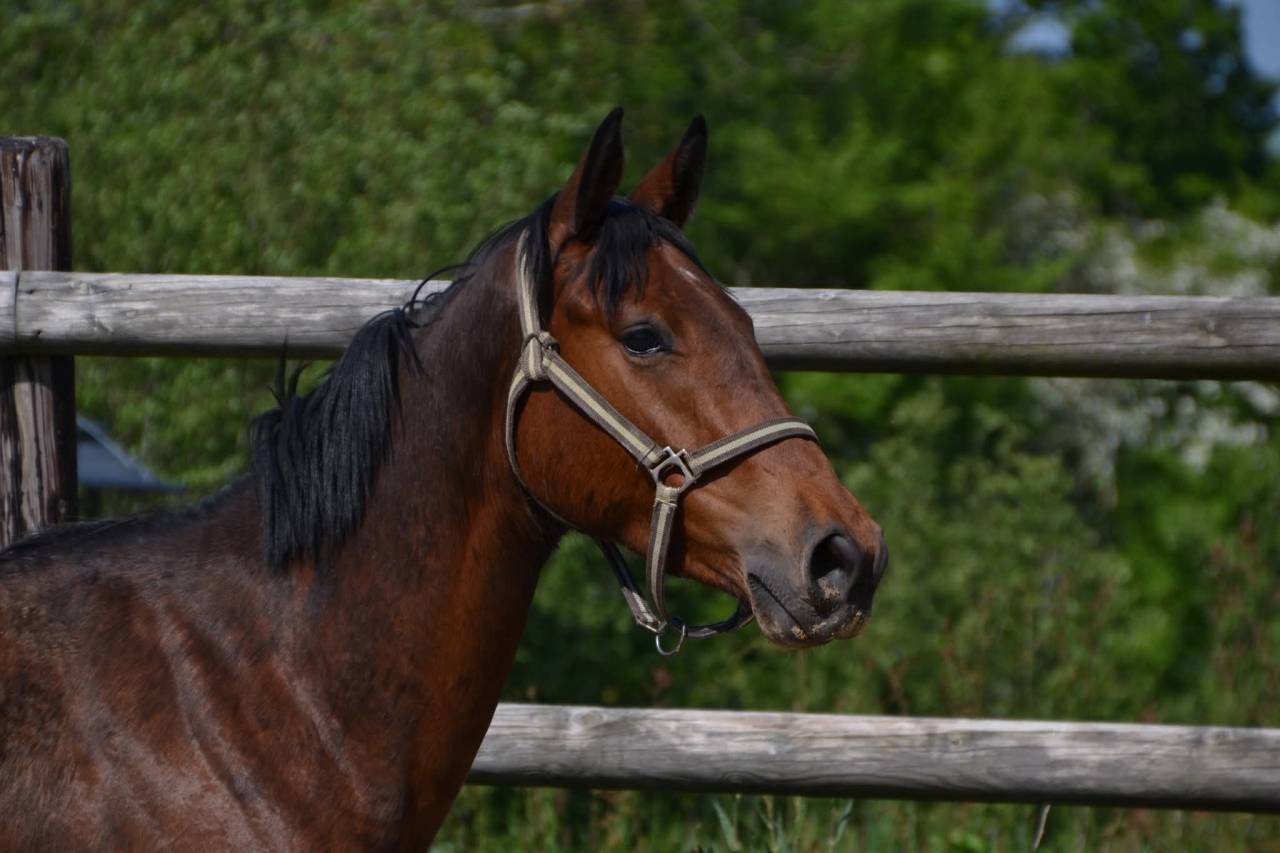 4 ans CSO / CCE Monday des edenes 