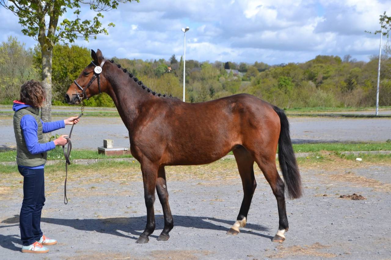 4 ans CSO / CCE Monday des edenes 